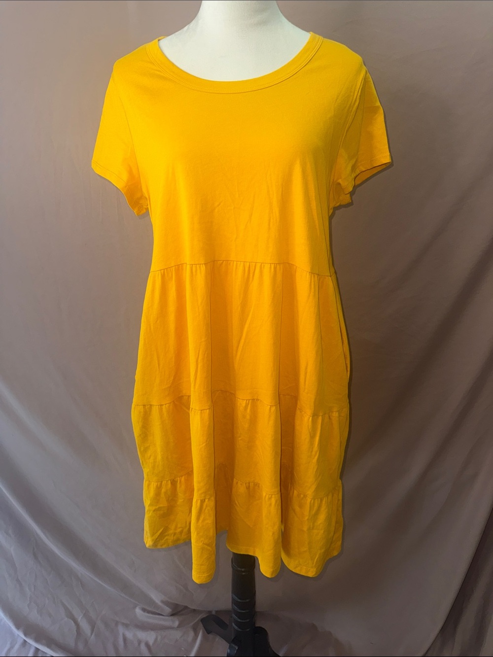 NWOT Time and Tru Gold Short Sleeve Dress